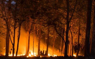 Sustainable Building Also Means Surviving Wildfires